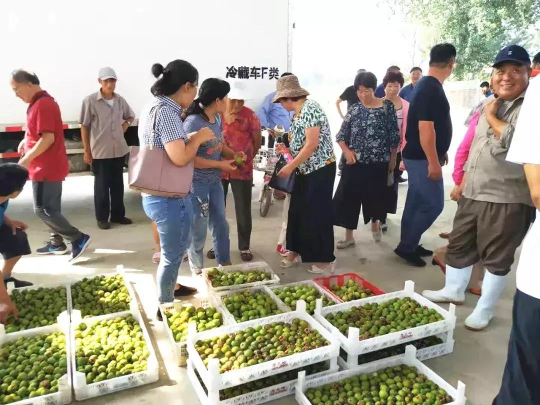 破解销售十大难题,破解农产品滞销问题