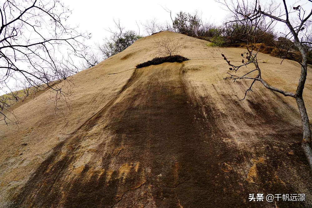 阳春四月迎来春,阳春四月槐花香