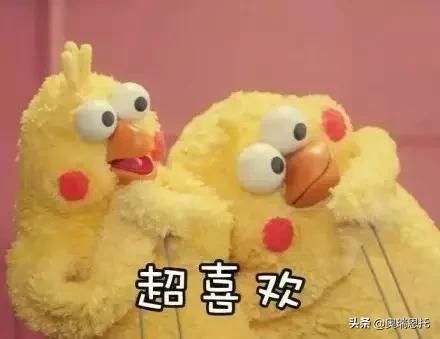 普通包包怎么保养,怎样保养包包更有光泽度