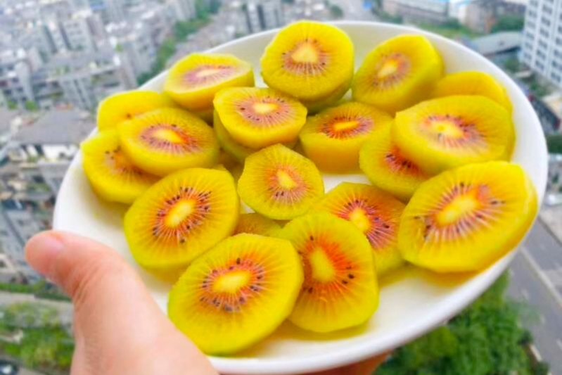 新型农业模式种植什么最赚钱,搞农业致富