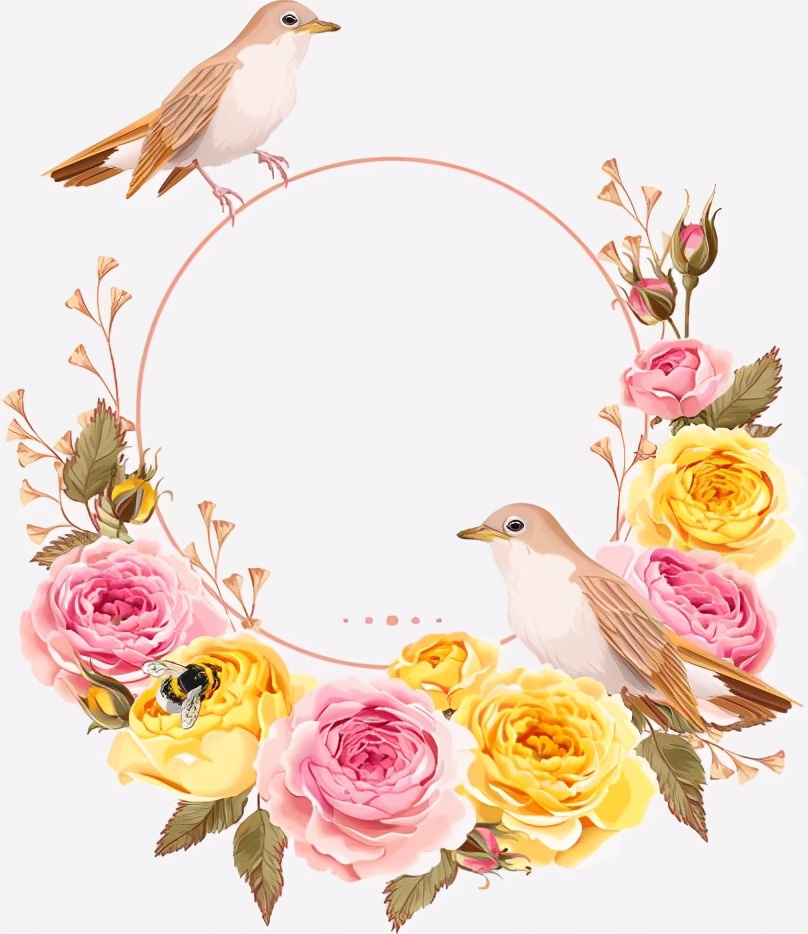 花花边框图片大全简单又漂亮,花花边框视频素材