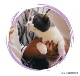 苏州市平江区万达广场,苏州平江万达广场