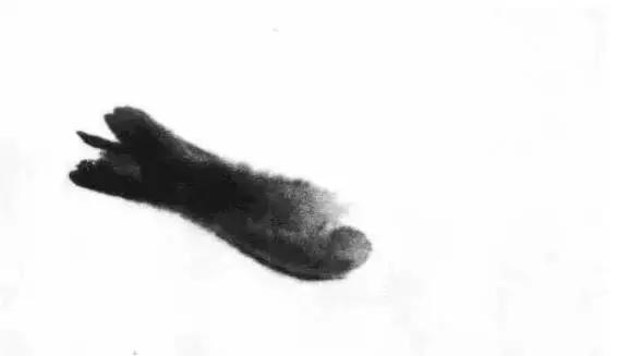 齐白石群虾的绘画手法,齐白石群虾用铅笔怎么画