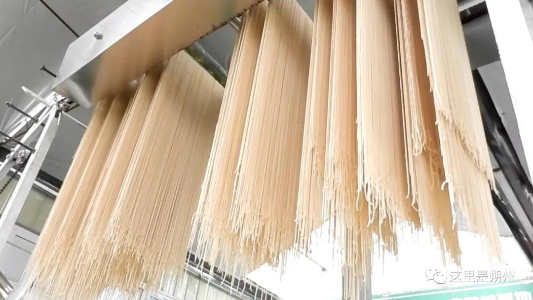 朔州平鲁区产业,荞麦加工与产品开发新技术