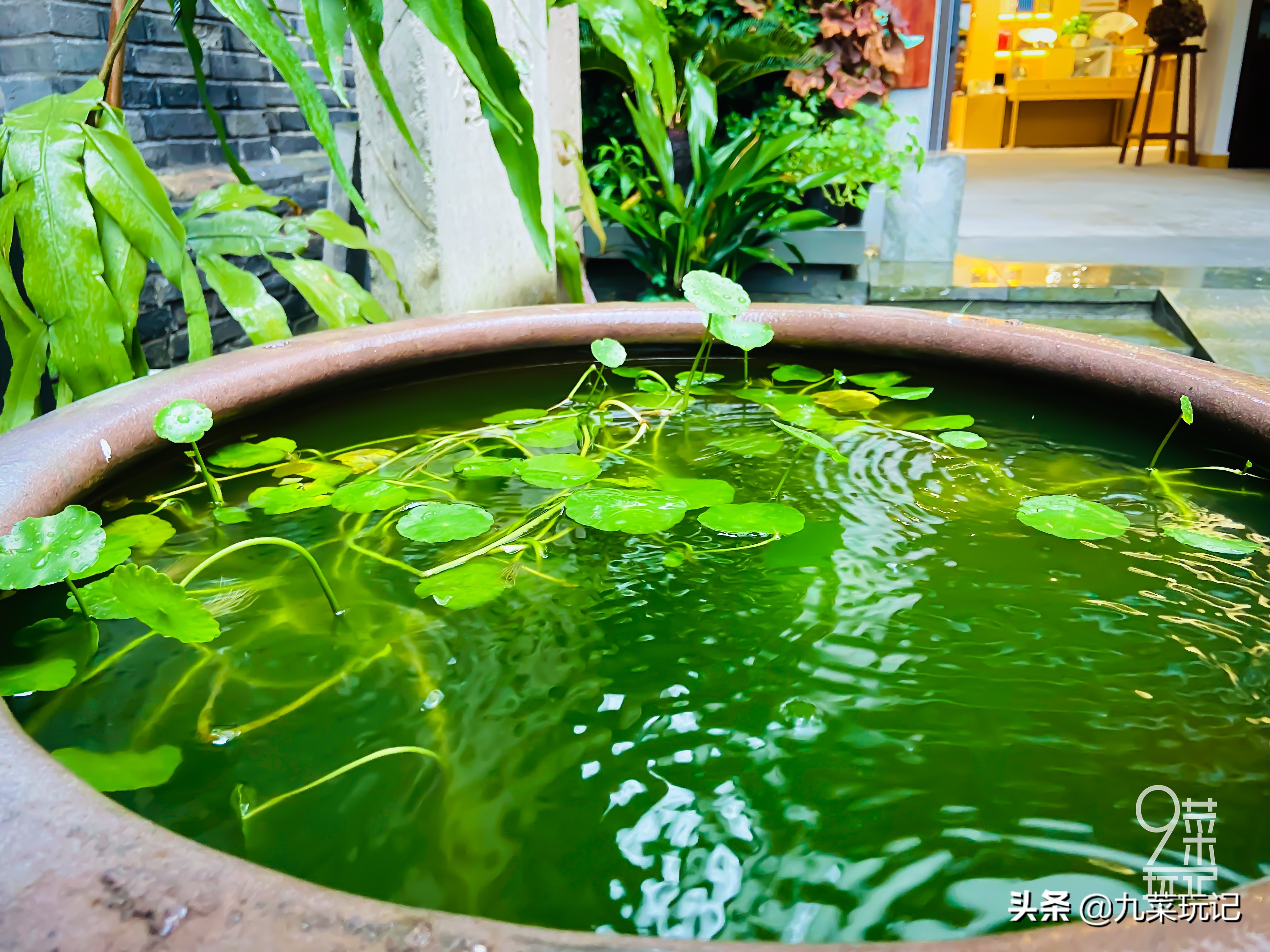 杭州保留最完好的古街,杭州市十大古街