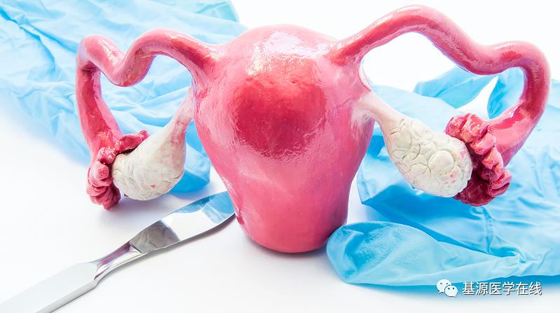 妇科常见的小问题,90%的女性遭受妇科的困扰