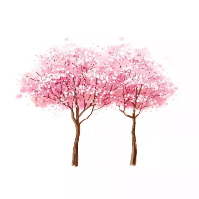 写在南丁格尔逝世纪念日——静脉曲张微创手术后，应该如何护理？