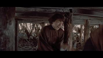 醉拳2经典电影,醉拳经典老电影