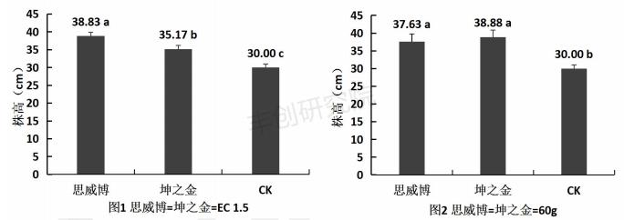 玉米苗黄死苗什么原因,玉米苗施尿素后死苗怎么回事