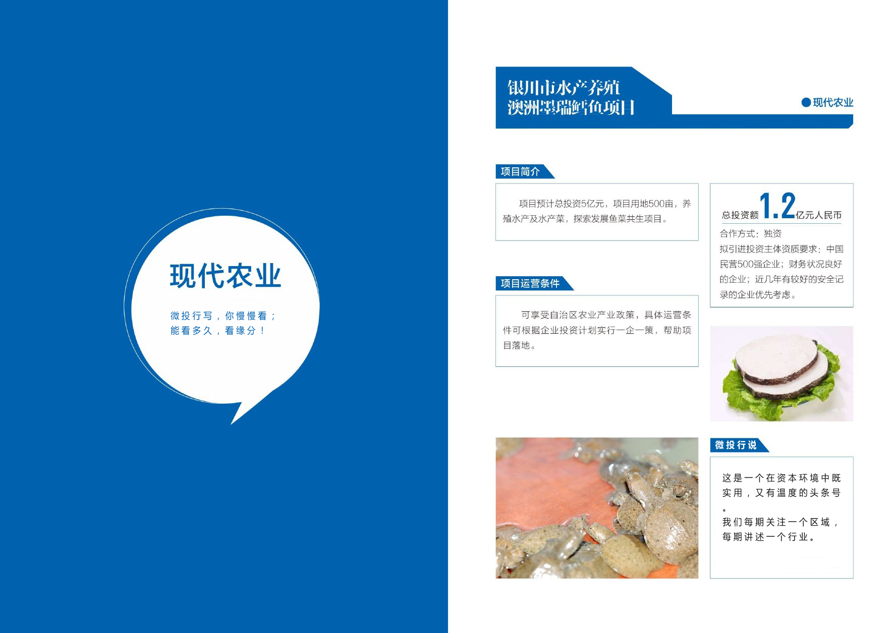 优选宁夏23个农业投资项目丨墨瑞鳕鱼、种子、巴士奶、牡丹、冷蔬