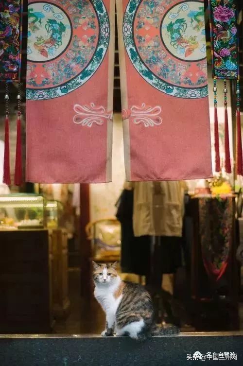 兰州到甘谷绿巨人开通时间,兰州至上海绿巨人