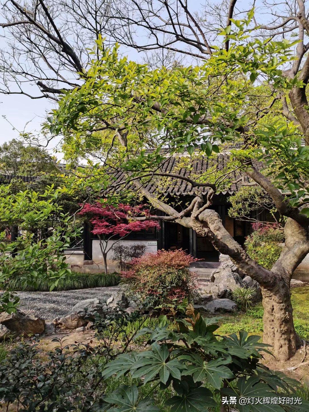 木渎古镇的园林值得一看吗,参观木渎古镇江南园林庭院