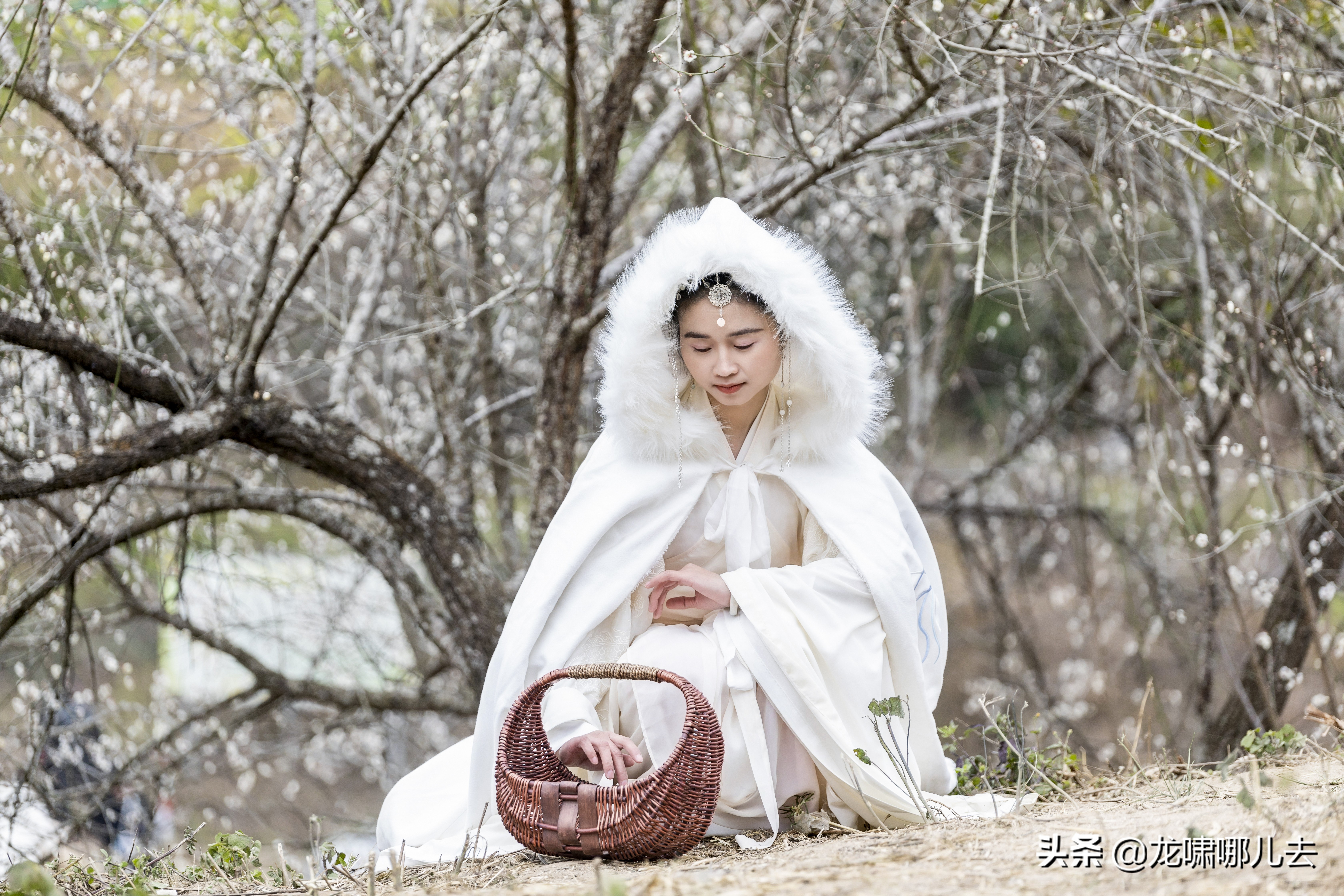 梁化梅园梅花观赏最佳时间,惠州梁化梅园看梅花时间