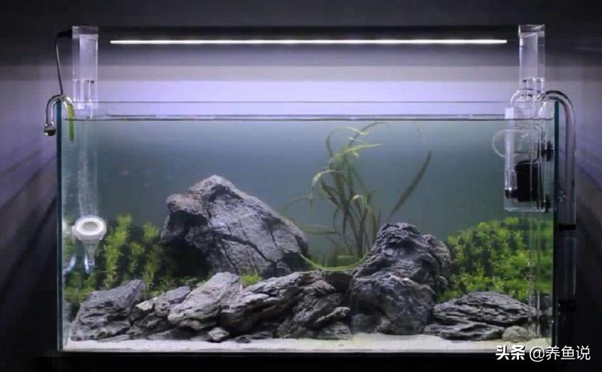 鱼缸换水直接用自来水行吗？养鱼开缸需要加硝化细菌不？请看答案