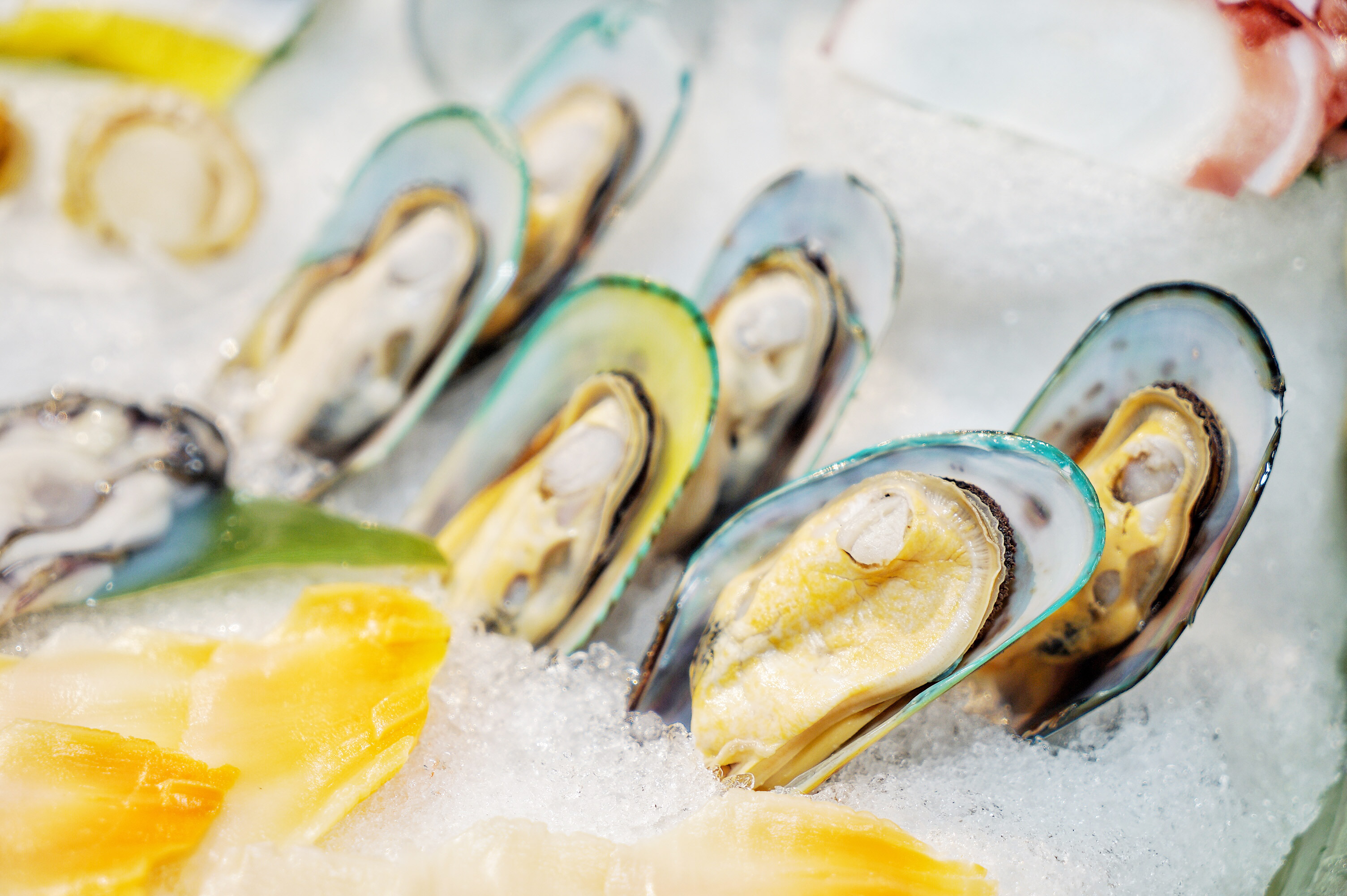 广州佛跳墙美食探店,广州佛跳墙海鲜哪家最好吃