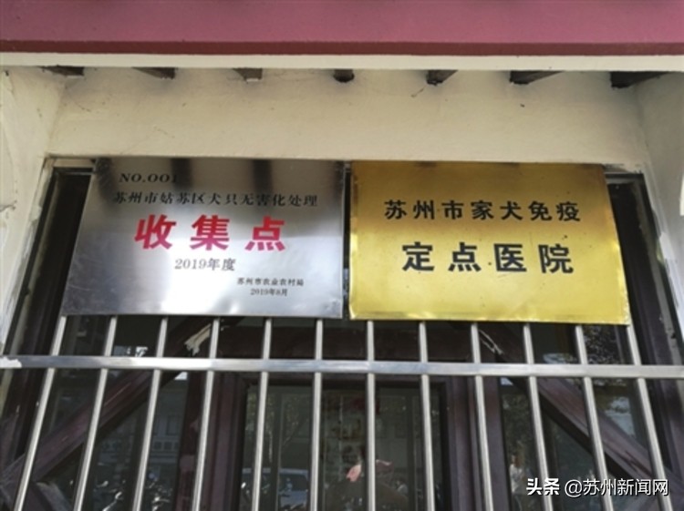 宠物后事怎么处理广州,宠物身后事