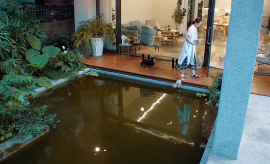 郭碧婷再被疑怀孕,郭碧婷孕期微博