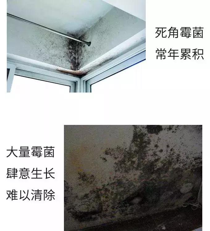 「服务」回南天如何让讨厌的霉菌滚蛋？小卡君教你一招