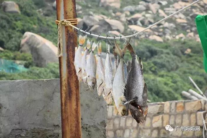 广州周末带娃避暑好去处,广州避暑亲子游好去处