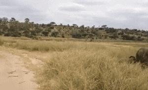 搞笑gif你们这些城里人太会玩了,搞笑gif逗比的世界你永远理解不了