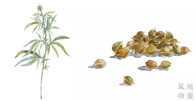 广西不止有螺蛳粉,广西小吃芒果干