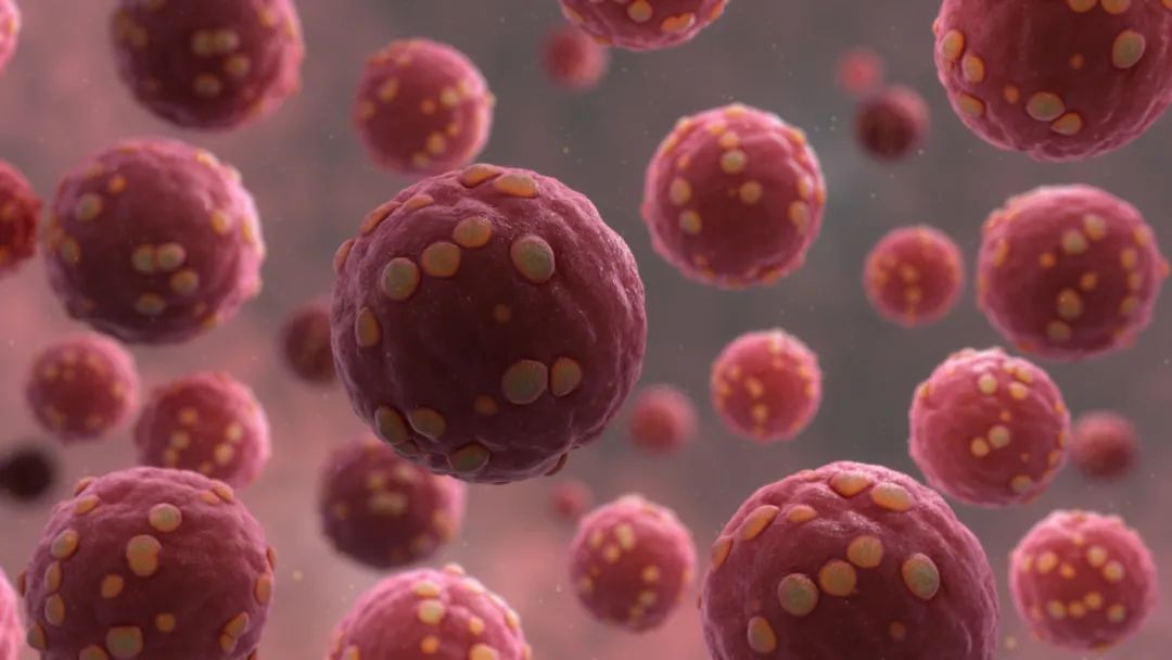 汉坦病毒跟新冠肺炎有联系吗,汉坦病毒弱阳性无任何症状