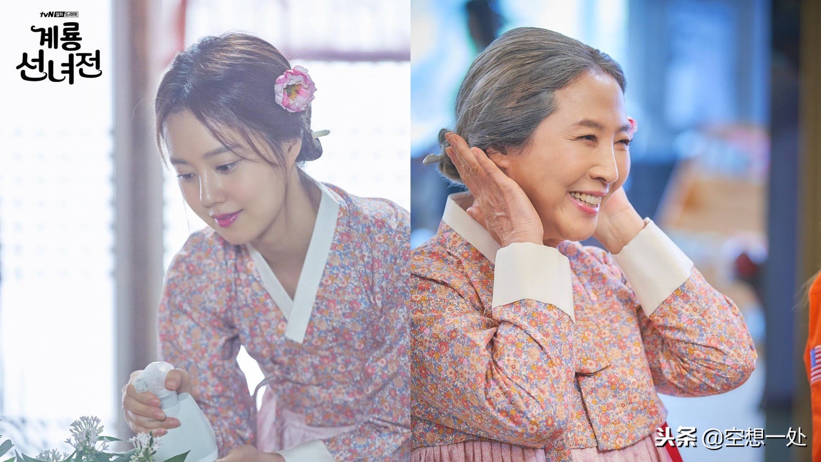 鸡龙仙女传全,文彩元鸡龙仙女传