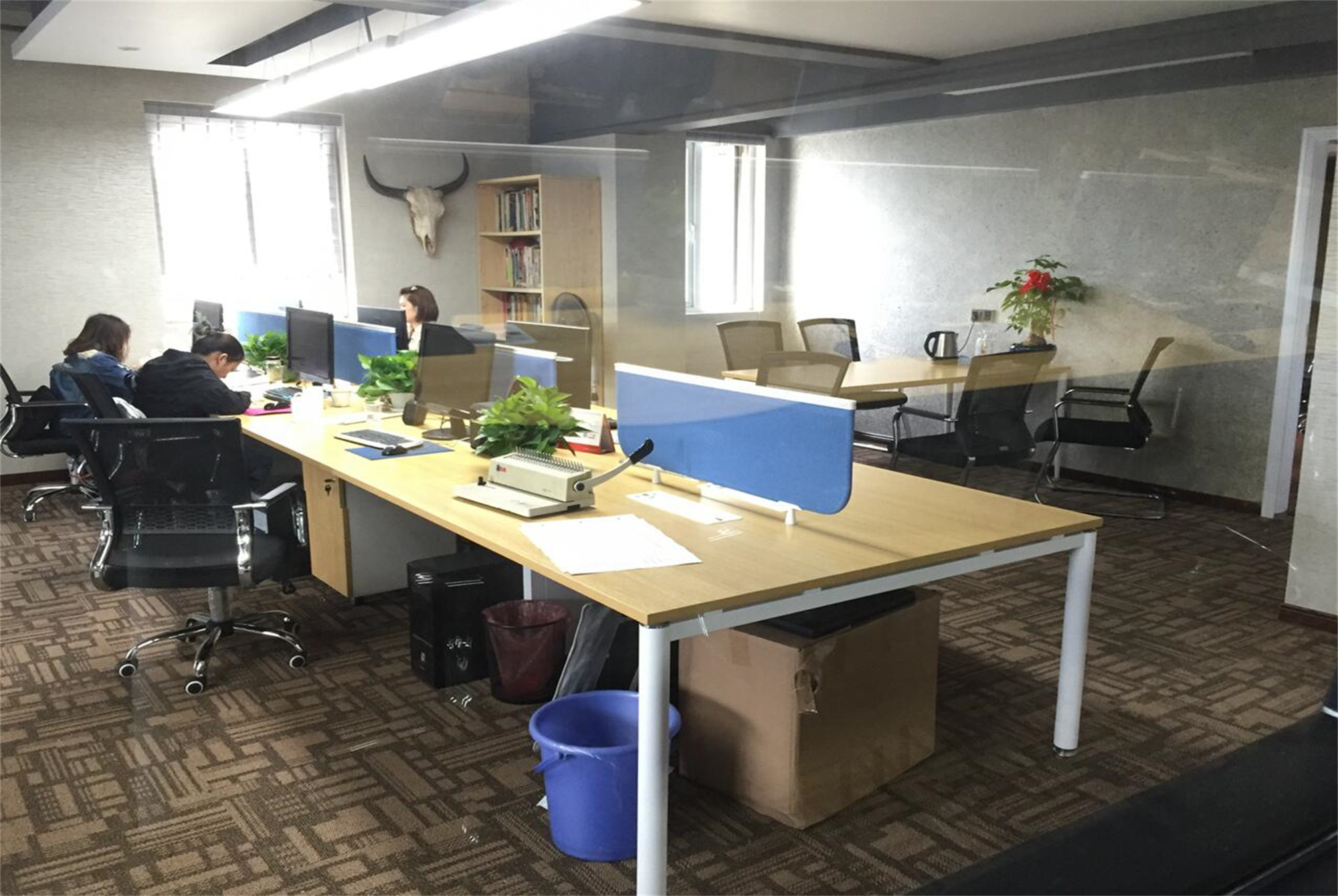 大专毕业就业前景怎样有出路,上了大专毕业后有什么出路