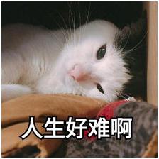 致富骗局新闻视频,致富骗局揭秘视频