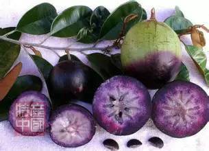 世界稀奇水果品种大全,世界热带奇特水果品种介绍