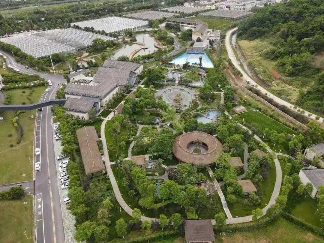 春树影舍畅享年卡，电影酒店+民宿，七夕送爱奇艺年卡会员等豪礼