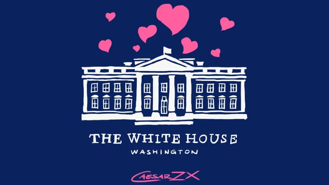 20年前，我是怎么被一家“白宫官网”欺骗的