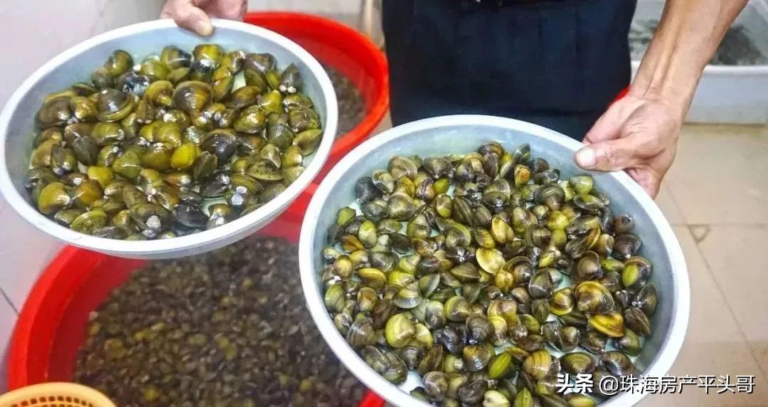 珠海舌尖上的美食羊排,珠海舌尖上的美食拱北摩尔广场