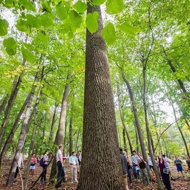 它是东岸首屈一指的工科强校，被称为”隐藏的常春藤“！