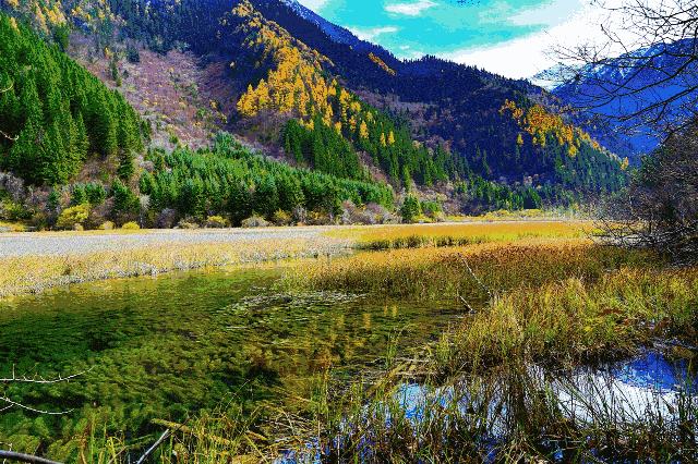 九寨沟跟团2天旅游团报价,重庆九寨沟旅游团正常价格