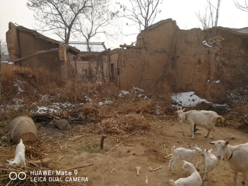 三农乡村振兴陕西,富平乡村振兴