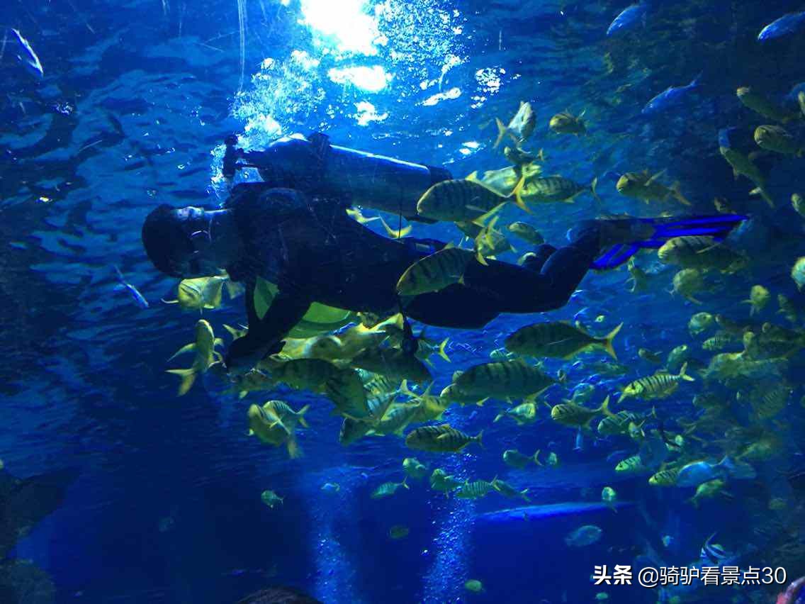 天津有哪些旅游景点值得推荐,离天津比较近的城市旅游景点