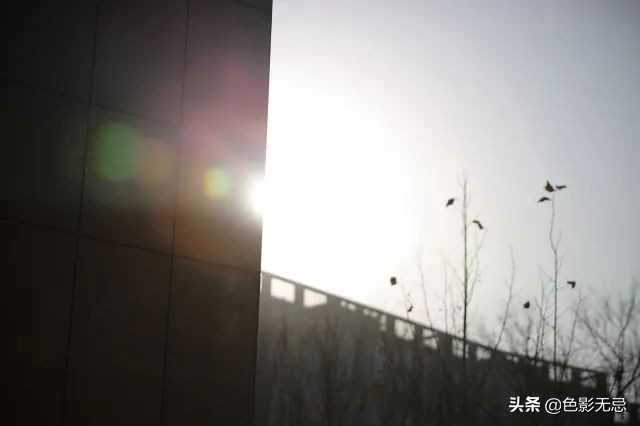 佳能rf24-105mmf2.8镜头评测,无忌测试