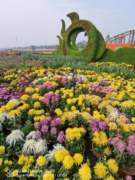 胜日寻芳泗水滨图片,胜日寻芳泗水滨的下一句是