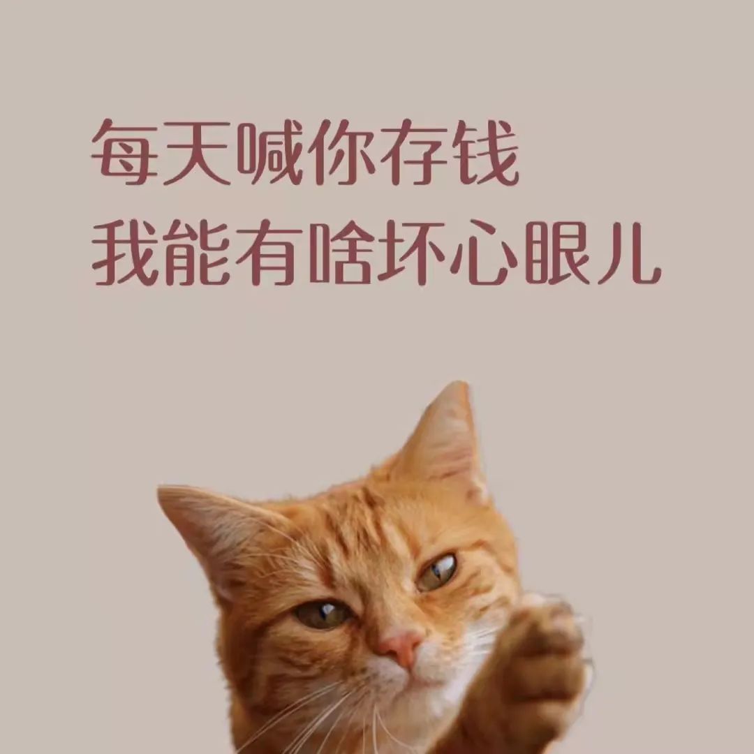 开门红理财产品收益,开门红复利