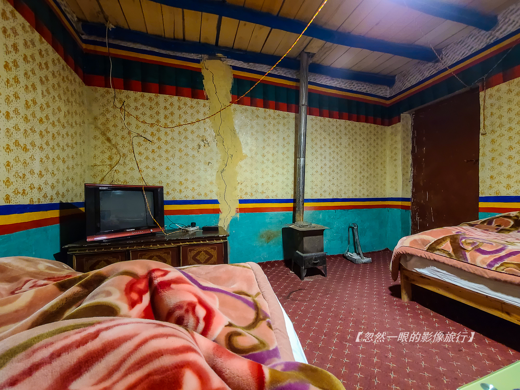 阿里无人区野狼出没,阿里无人区狐狸