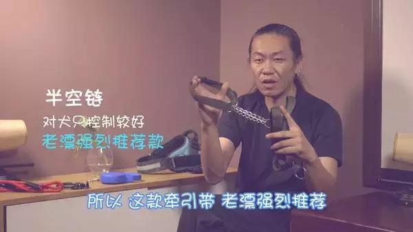 狗狗牵引带,狗狗防爆冲牵引绳怎么佩戴