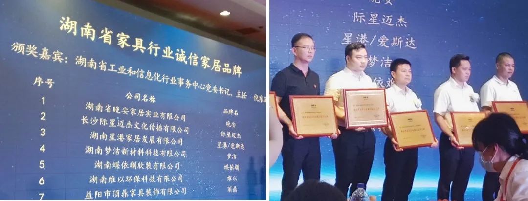 蝶依斓被评为湖南省家具行业诚信家居品牌