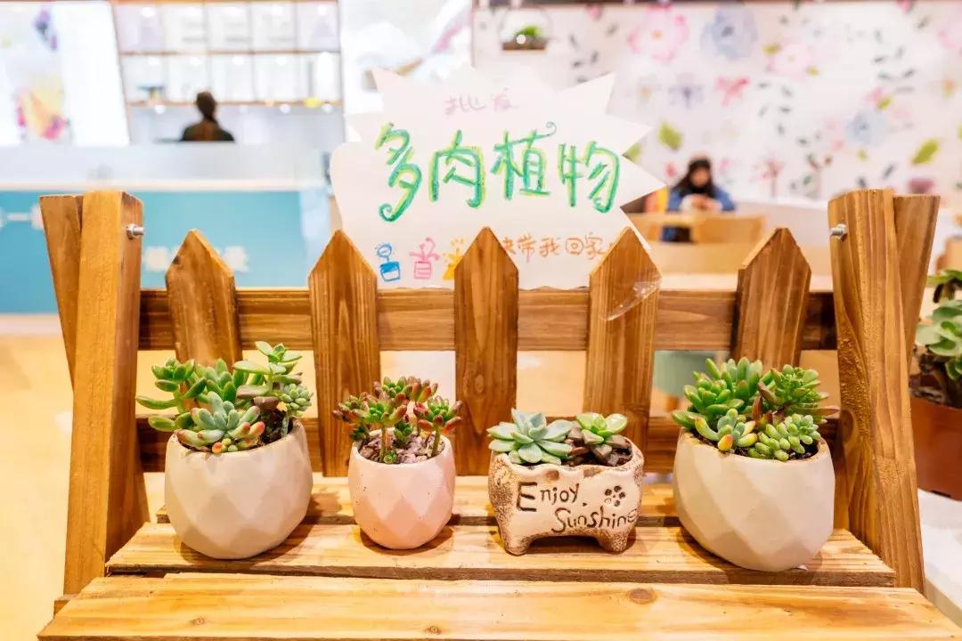 抗老神仙水单品,抗老用神仙水搭配什么