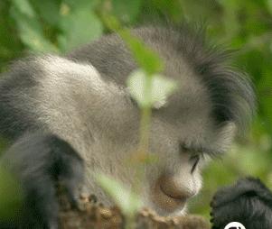 有一个白羊男友是怎样的体验,有一个白羊座男友怎么办