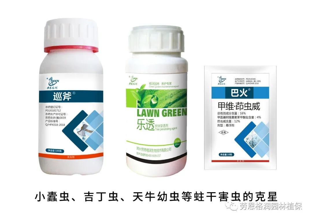 钻蛀性害虫防治最佳时期,园林常见鳞翅目害虫防治技术图片