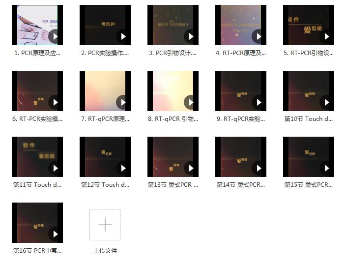 免费资源|PCR+高通量基础组学的相关视频