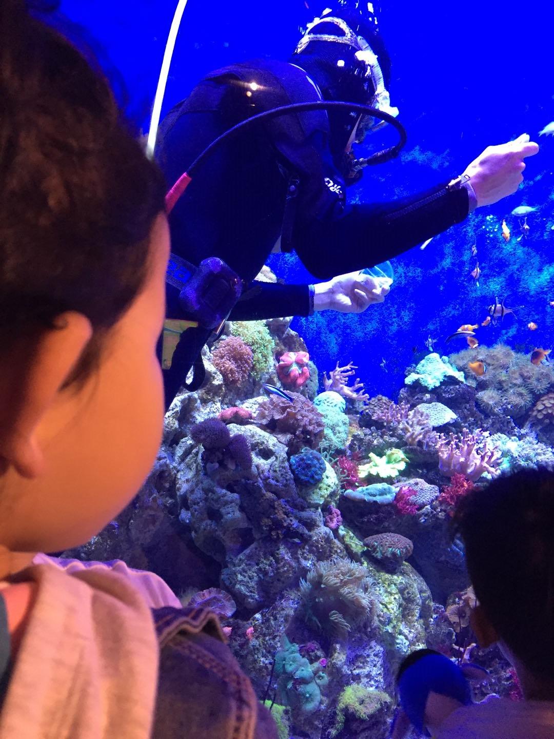 珠海长隆海洋王国附近美食,珠海长隆海洋王国官网预约