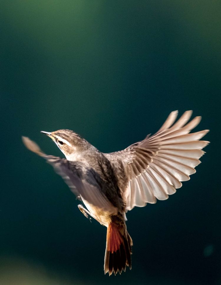 情人岛拍摄地点,情人岛航拍视频