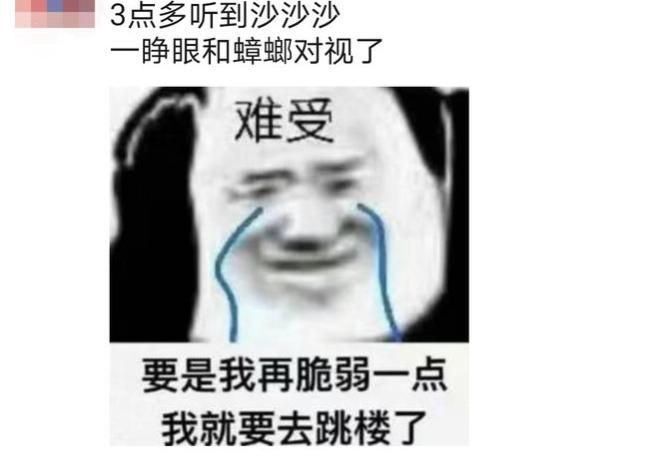 南方蟑螂和北方蟑螂对比恶搞,南方大蟑螂吓哭北方人